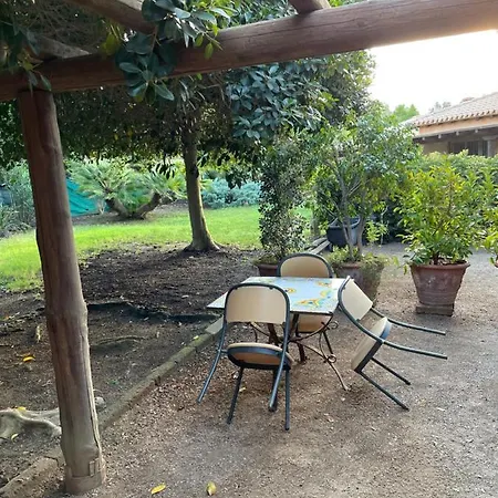 Natura & Relax Ficus Apartamento *