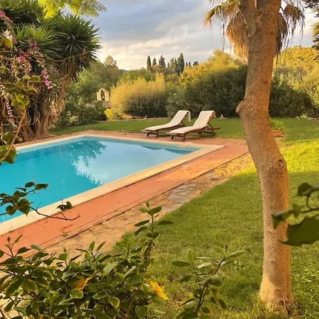 Natura & Relax Ficus